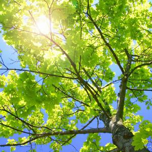 范冰冰被狂c躁到高潮动态图
